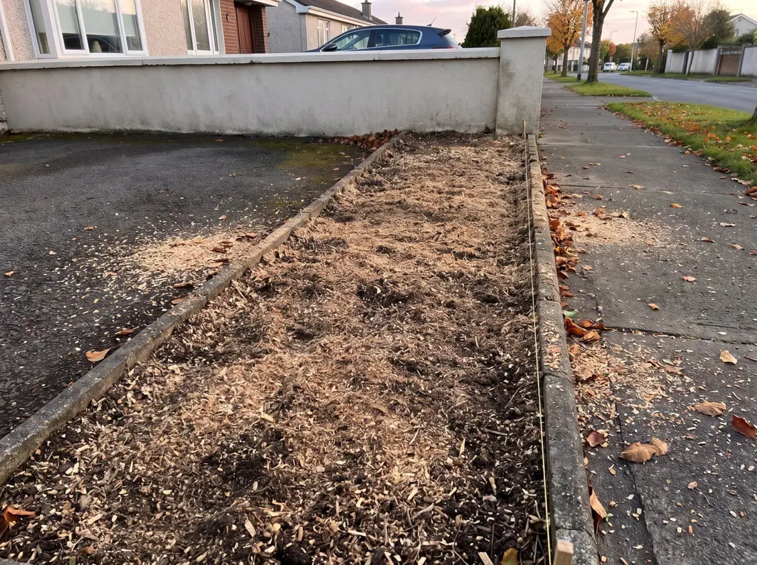 Clear strip of soil where a hedge stood, after