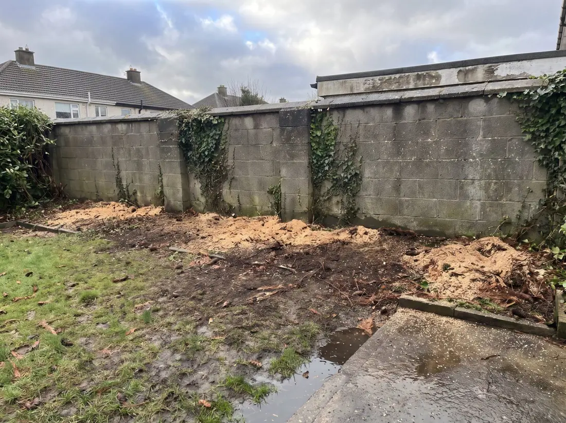 Garden boundary cleared of conifer stumps, after
